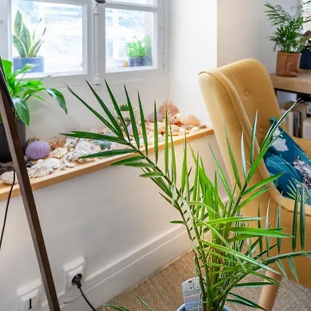 Lovely Normandy Guest House Apartment Fermanville